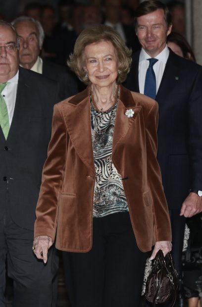 Do&ntilde;a Sof&iacute;a en un acto / Gtres