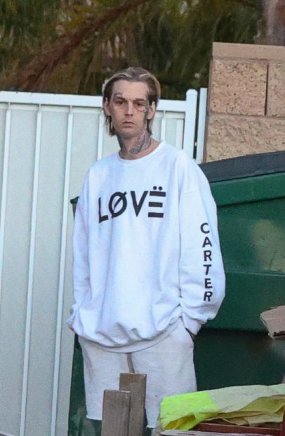 Aaron Carter en Los &Aacute;ngeles / Gtres