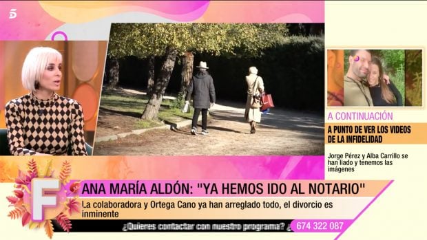 Ana Mar&iacute;a Ald&oacute;n en 'Fiesta' / Telecinco