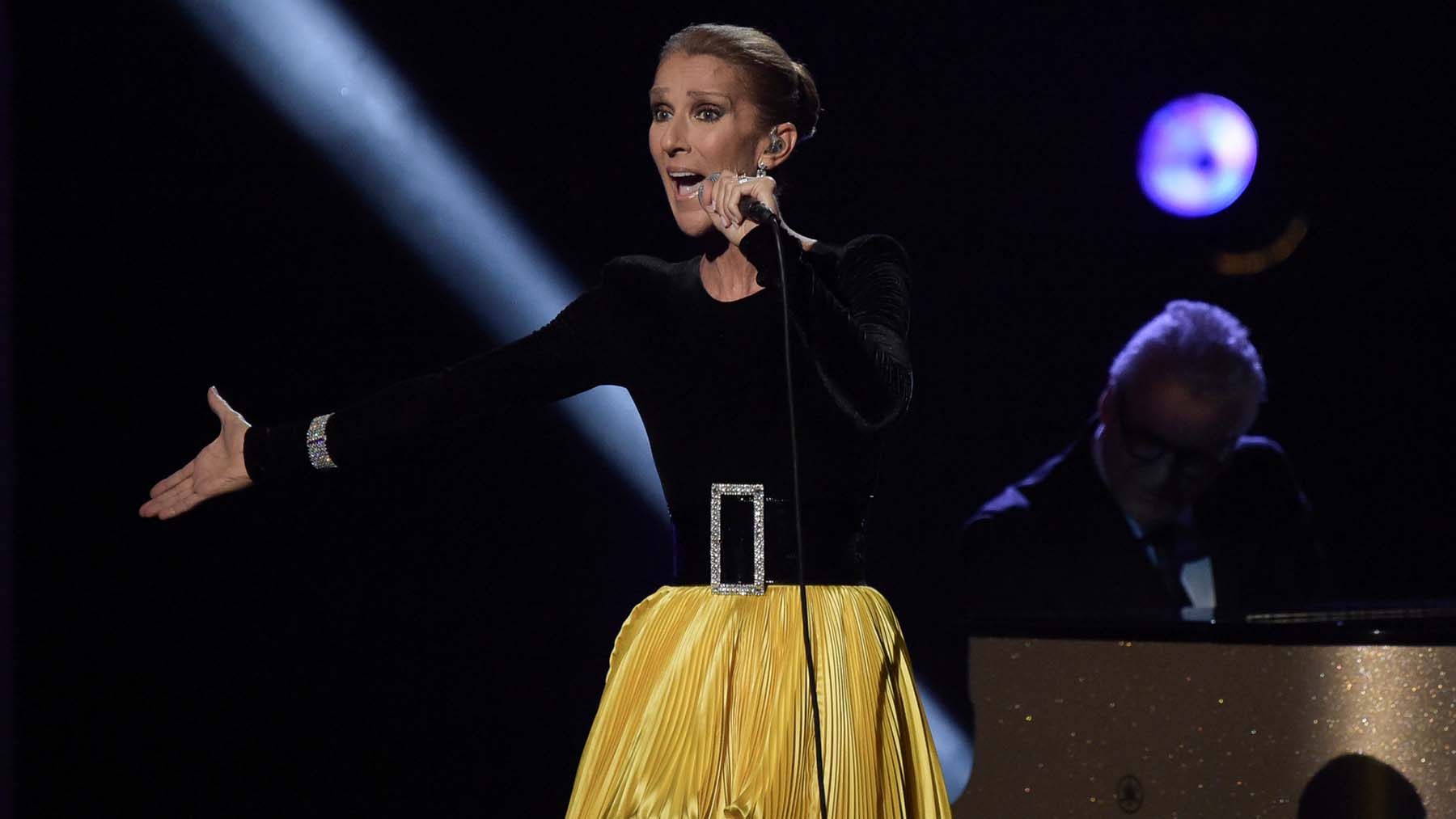 C&eacute;line Dion durante un concierto / Gtres