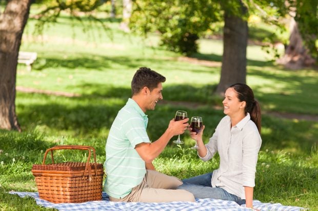 Pareja disfrutando de un picnic con copas de vino. / Gtres
