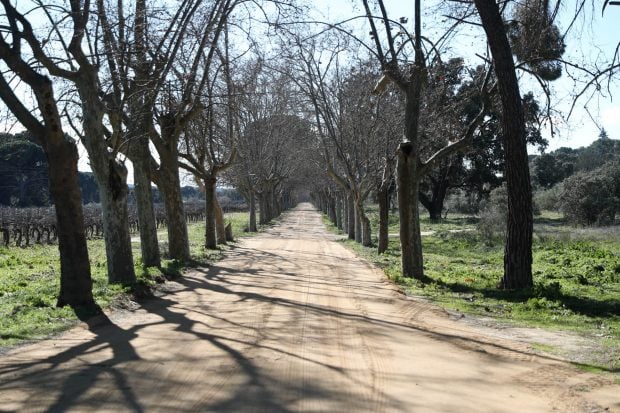 El Rincón / Gtres