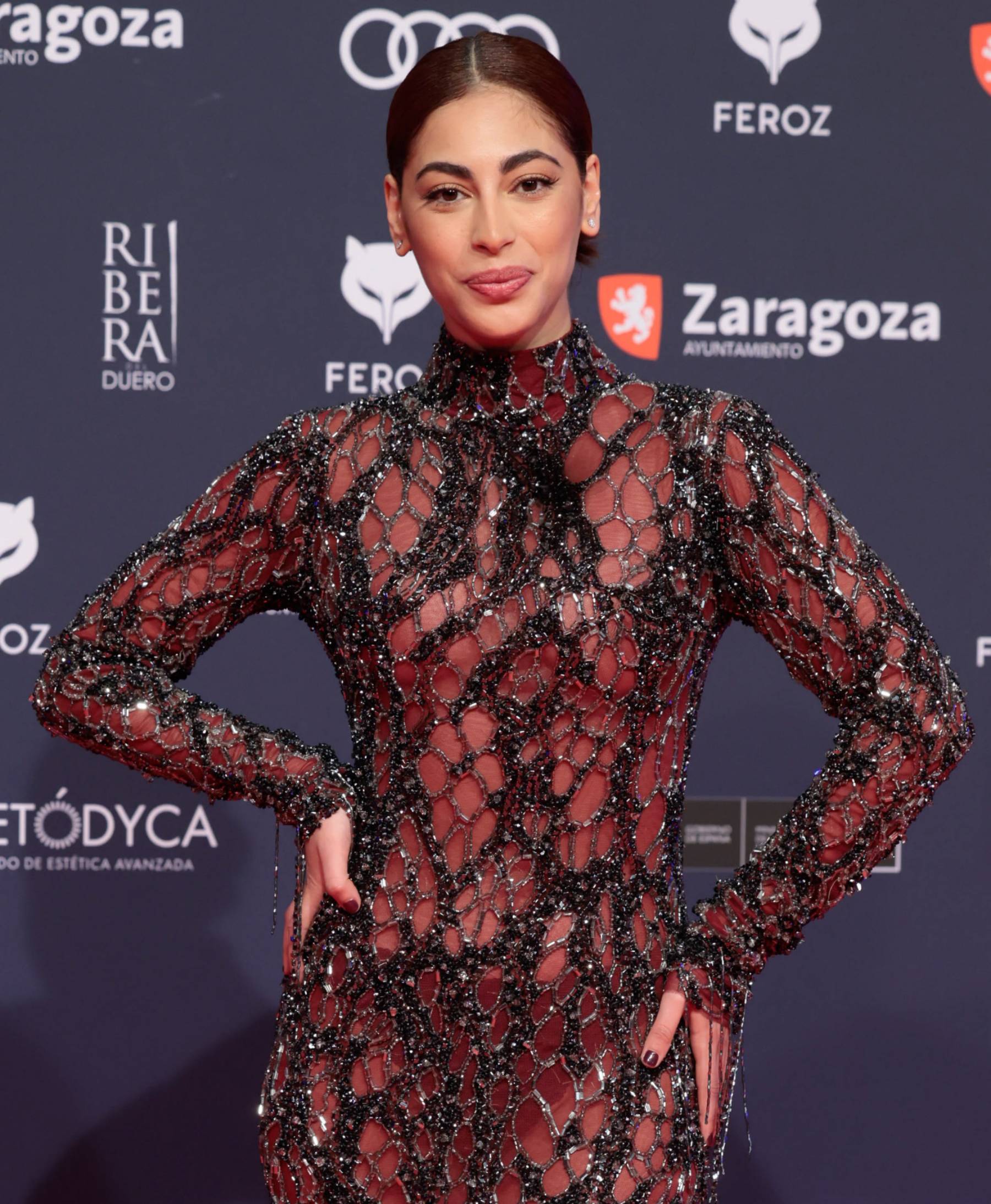 en la gala de los Premios Feroz 2023 / Gtres