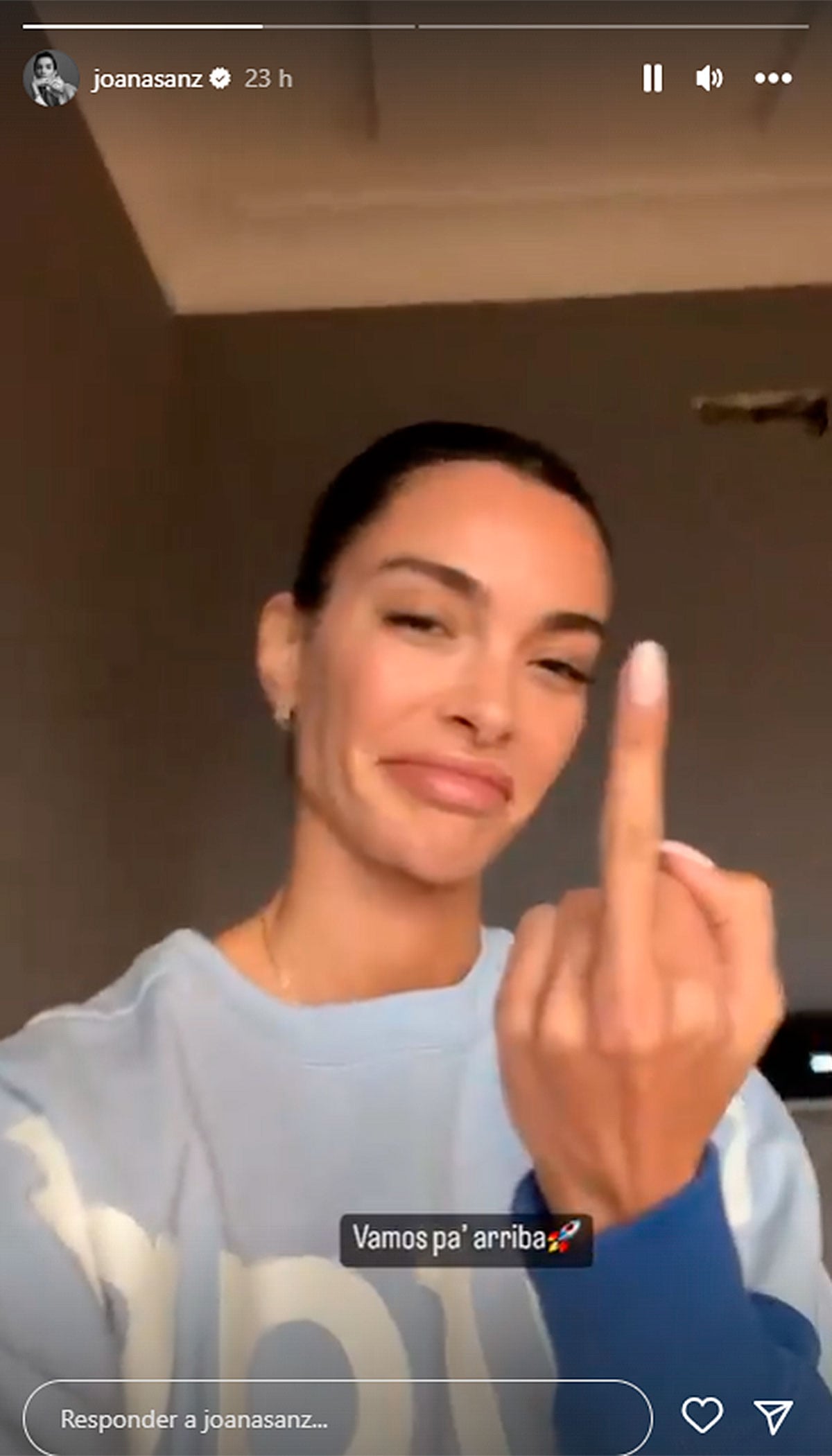 Peineta de Joana Sanz / Instagram
