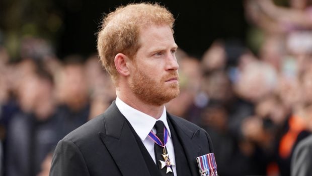 El pr&iacute;ncipe Harry / Gtres