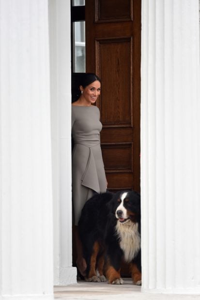Meghan Markle con un perro / Gtres