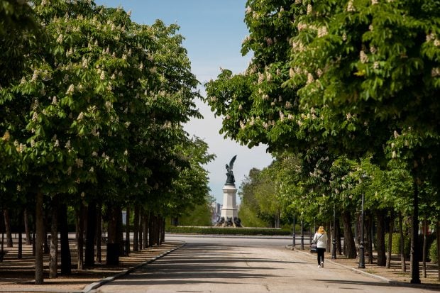 El Retiro / Gtres