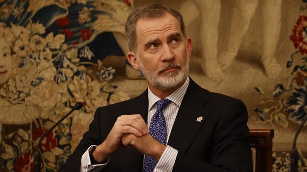 El Rey Felipe en una imagen de archivo / Gtres