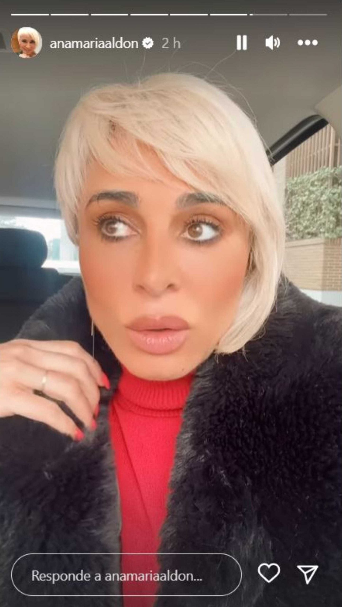 Stories de Instagram de Ana Mar&iacute;a Ald&oacute;n / Instagram
