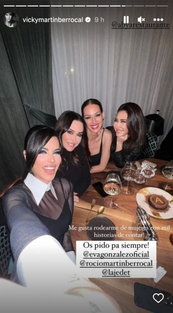 Storie de Vicky Mart&iacute;n Berrocal. / Instagram