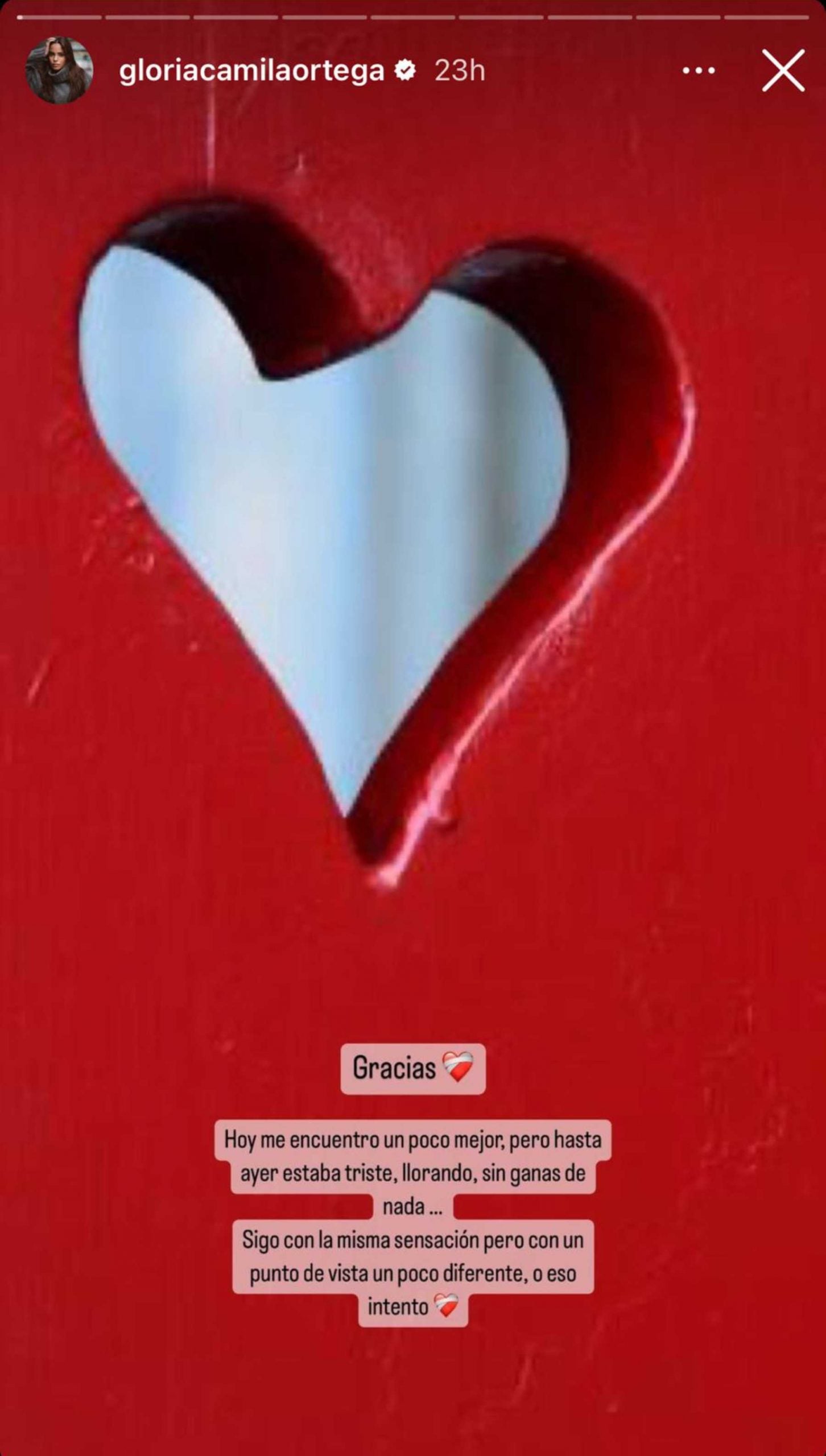Stories de Instagram de Gloria Camila Ortega / Gtres