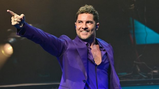 David Bisbal señalando en un concierto / Gtres