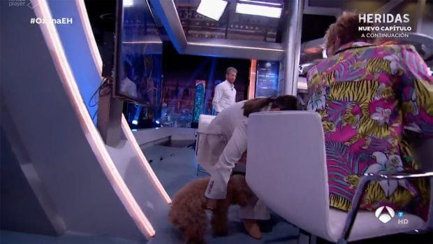 Tamara Falc&oacute; en 'El Hormiguero'. / Antena 3