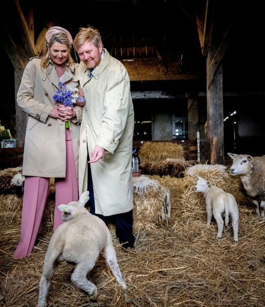 M&aacute;xima y Guillermo de Holanda en las islas Wadden. / Gtres