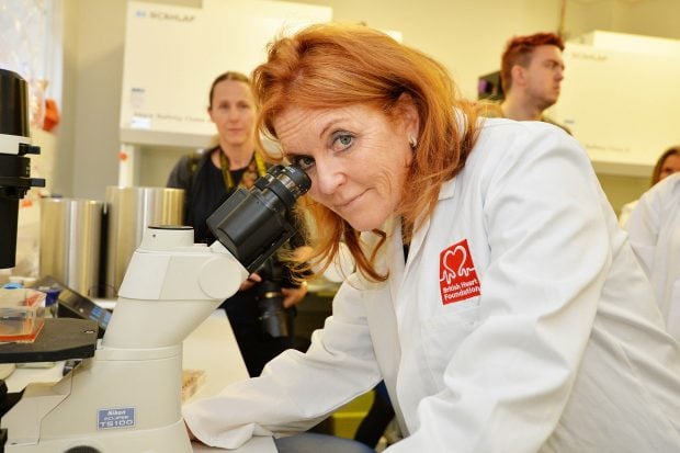 Sarah Ferguson en una visita al William Harvey Heart Centre / Gtres