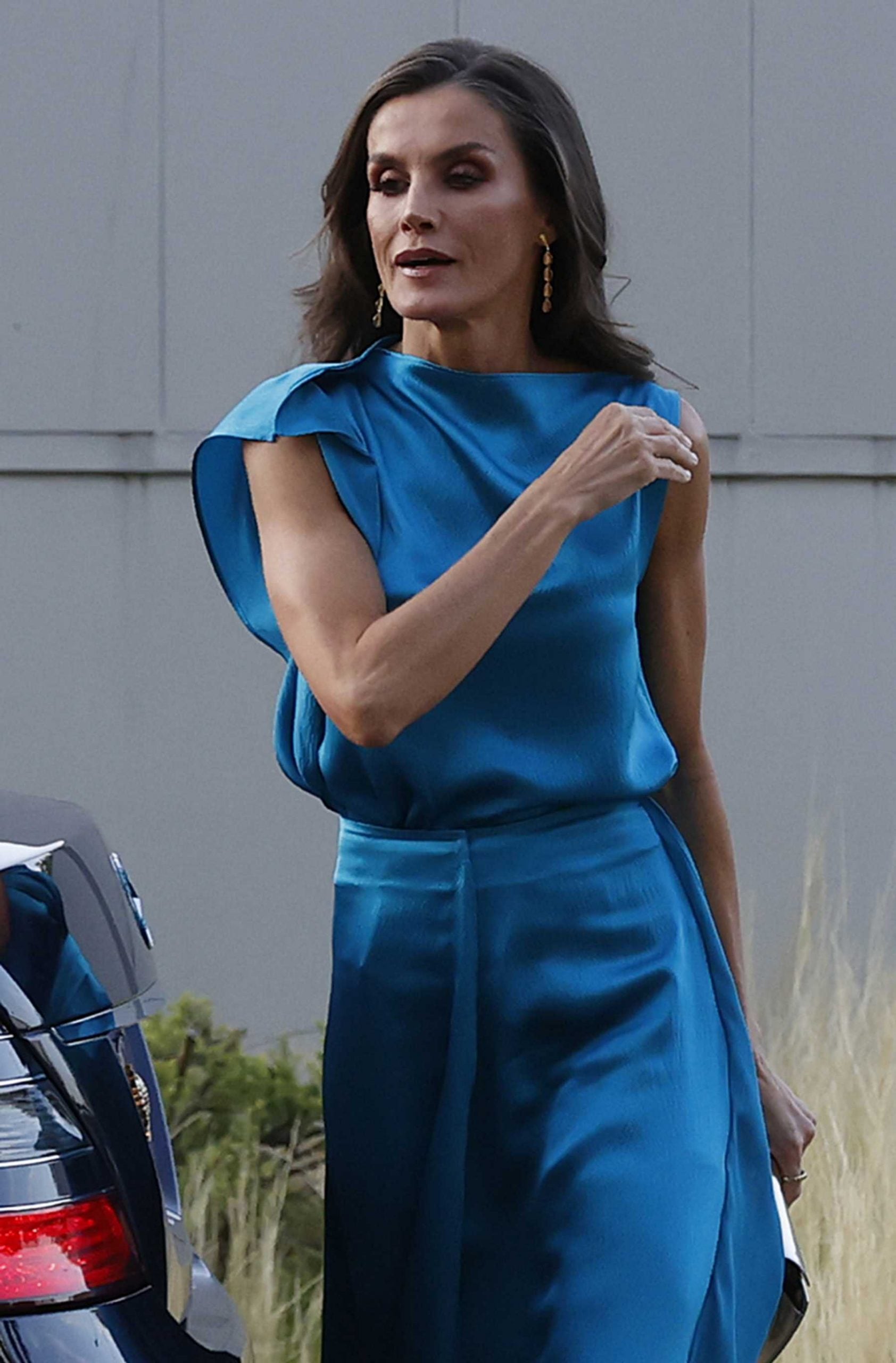 La Reina Letizia en los Premios Cavia / Gtres
