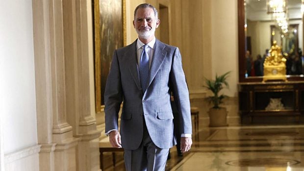 El Rey Felipe VI