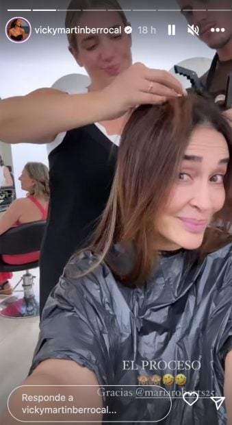 El radical cambio de look de Vicky Mart&iacute;n Berrocal / Instagram