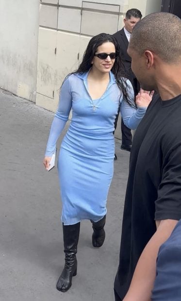 Rosal&iacute;a en Par&iacute;s en el cierre de su gira / Gtres
