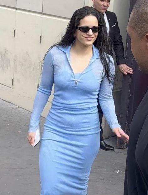 Rosal&iacute;a saludando a sus seguidores / Gtres