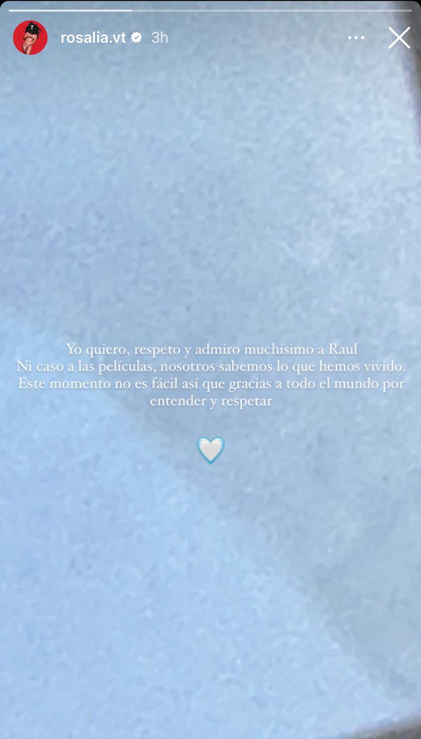 Stories de Instagram de Rosal&iacute;a / Instagram