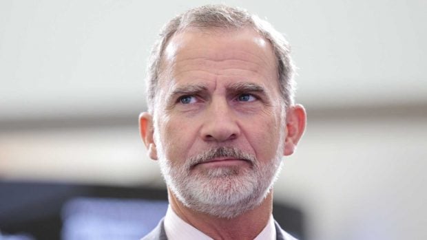 El Rey Felipe VI en un acto en Madrid / Gtres