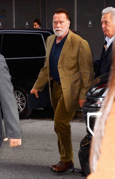 Arnold Schwarzenegger/ Gtres