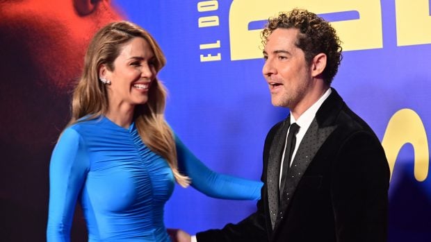 David Bisbal junto a Rosana Zanetty / Gtres