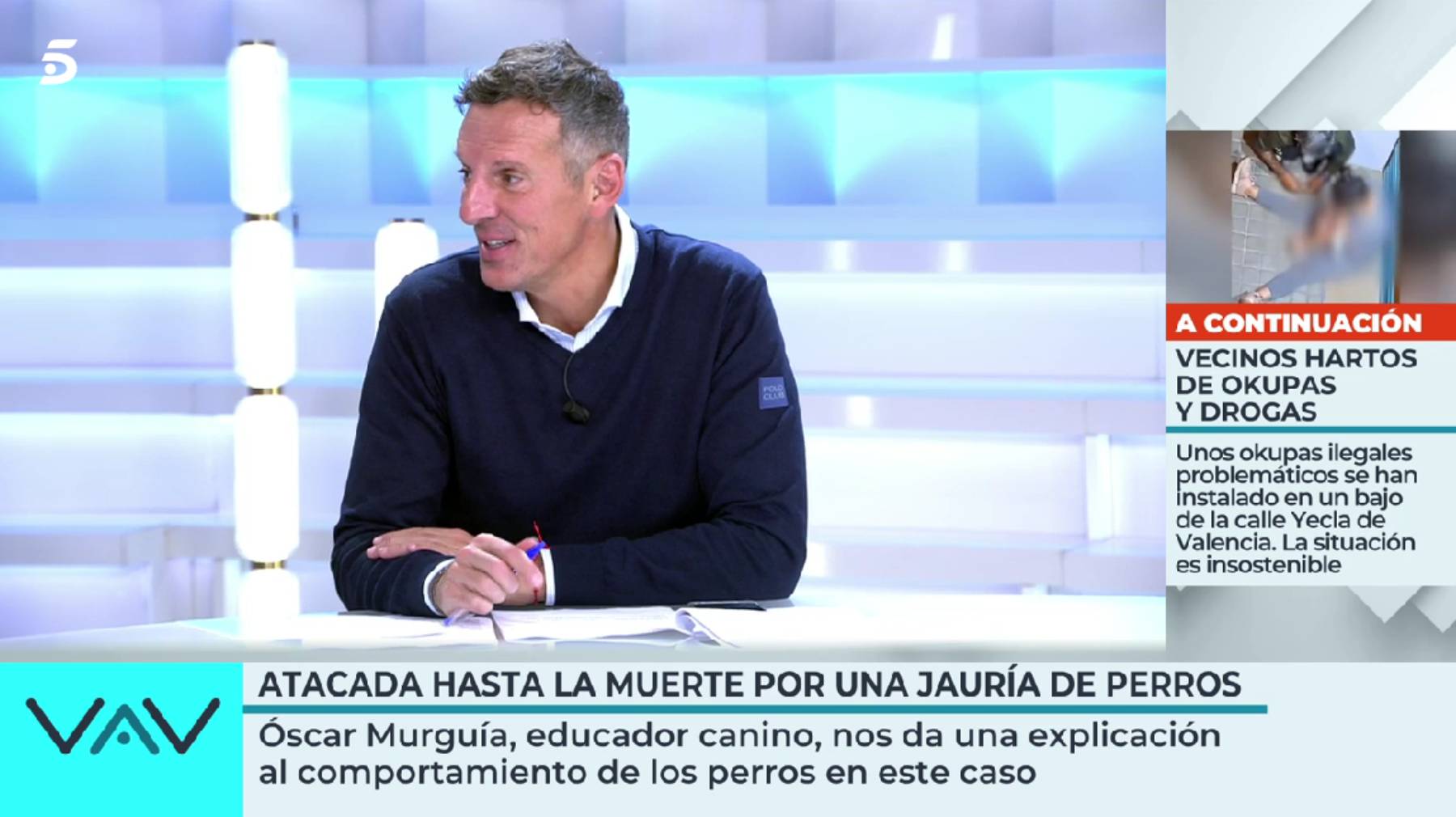 Joaqu&iacute;n Prat, Vamos a ver, Perros Zamora 