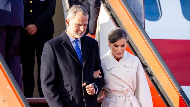 Letizia Dinamarca, Letizia rub&iacute;es