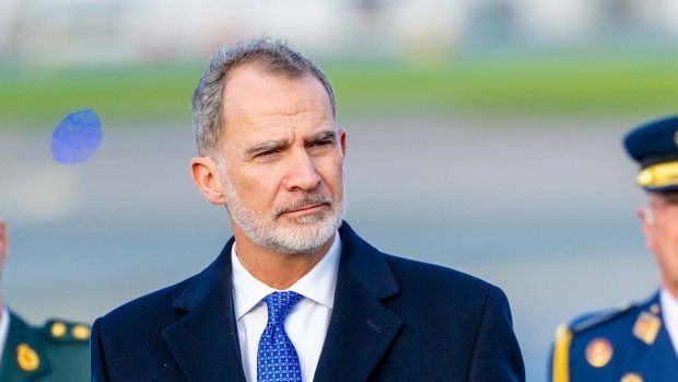 Felipe VI f&eacute;rula