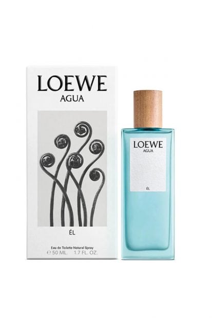 Colonia Loewe