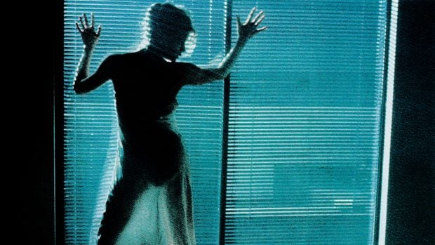 Kimila Ann Basinger, m&aacute;s conocida como Kim Basinger