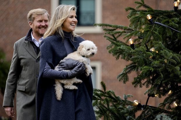 M&aacute;xima Holanda perro, M&aacute;xima de Holanda Navidad, M&aacute;xima hijos