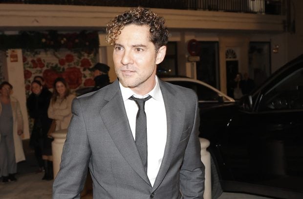 David Bisbal, fiesta David Bisbal, palacio de dueñas,