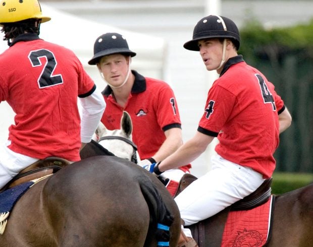 Guillermo Harry c&oacute;mplices
