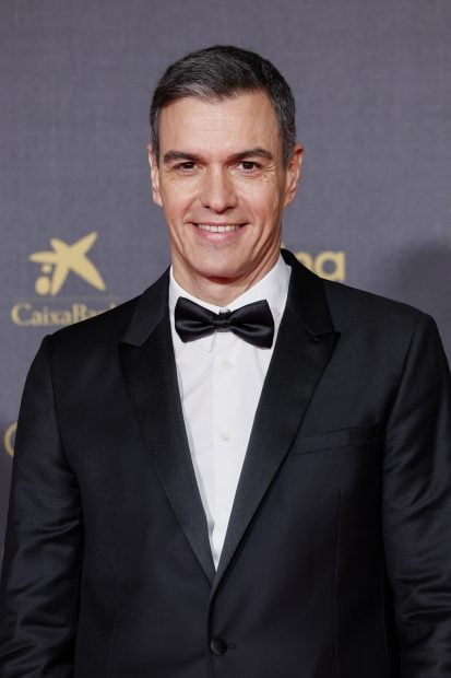 Pedro S&aacute;nchez, Pedro S&aacute;nchez goya, 