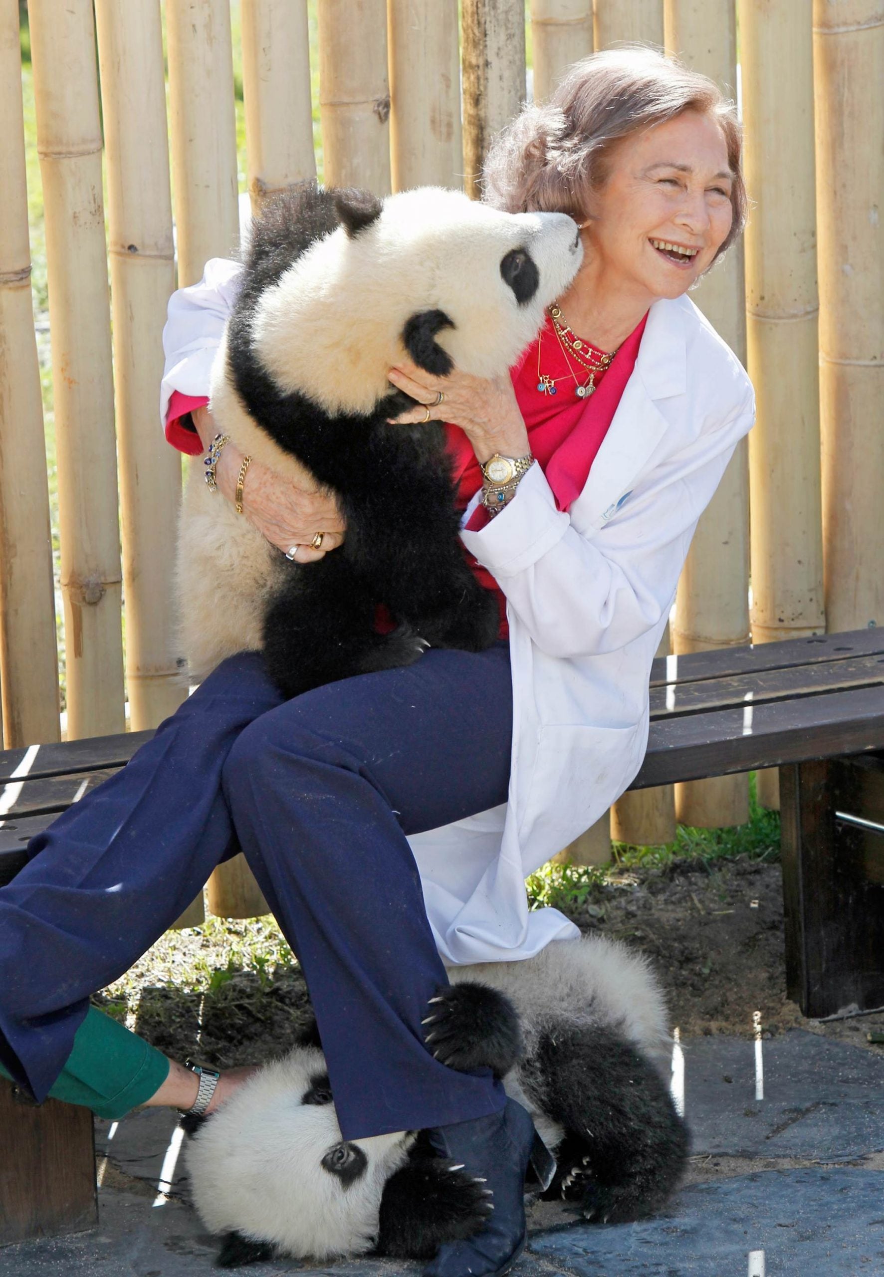 reina sof&iacute;a pandas, los pandas de la reina, los pandas del zoo de madrid