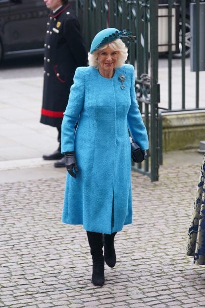 Reina Camila, Londres, caza