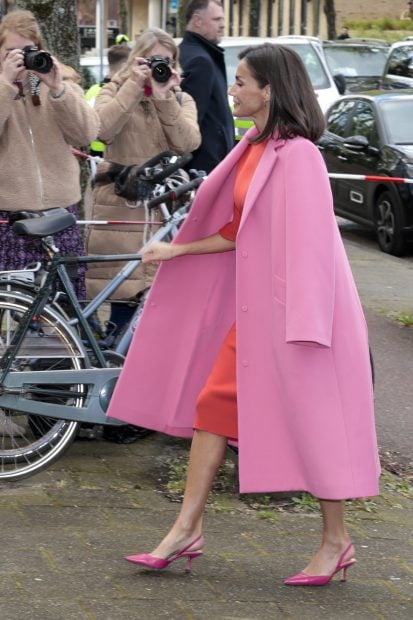 Reina Letizia