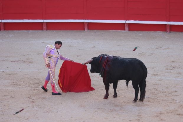 Enrique Ponce, toros Enrique Ponce, Enrique Ponce corrida,