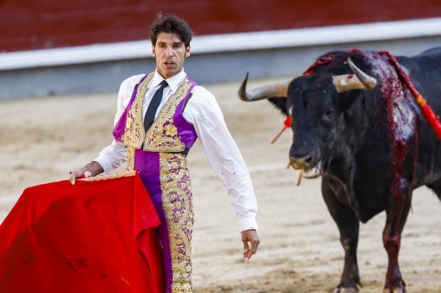 Cayetano Rivera, corrida Cayetano Rivera, cogida Cayetano Rivera,