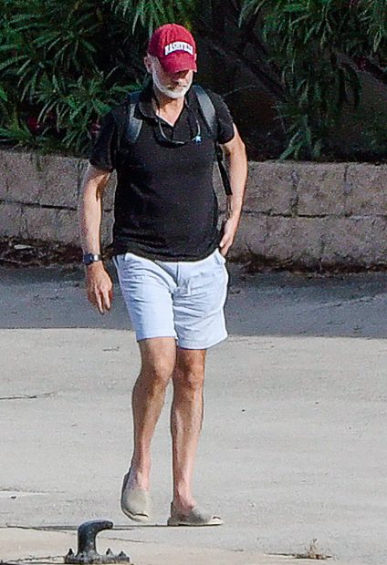 Rey Felipe VI