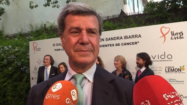 Cayetano Mart&iacute;nez de Irujo, Cayetano suplantaci&oacute;n identidad