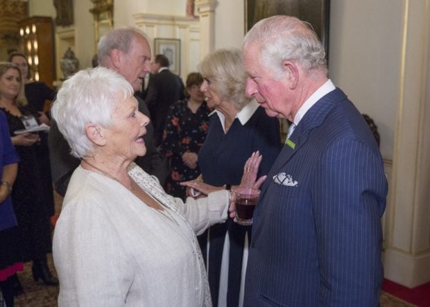 Judi Dench, carlos iii, Judi Dench club, 