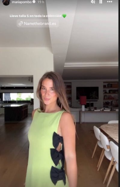 Mar&iacute;a Pombo, Mar&iacute;a Pombo plagio