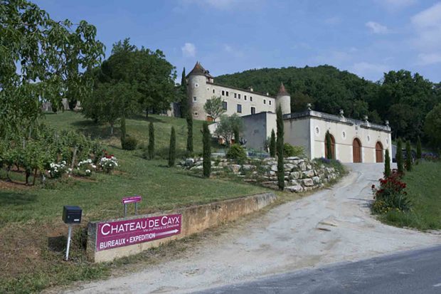 Nicolás de Dinamarca, Castillo de Cayx
