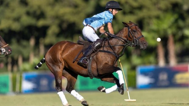 Polo, Argentina
