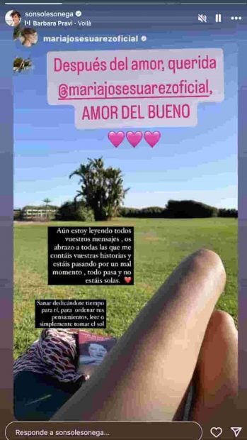 Sonsoles &Oacute;nega, Y ahora sonsoles, Mar&iacute;a jos&eacute; su&aacute;rez