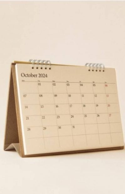 Calendario de Zara Home, Zara Home